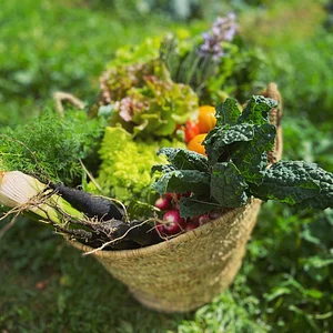 Akal Ferme en Permaculture