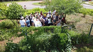 Horta Comunitária do Sudoeste