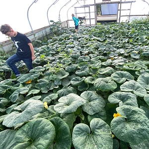 Ridgedale Farm