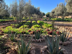 Akal Ferme en Permaculture
