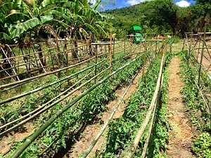 Ridge to Reef Farm