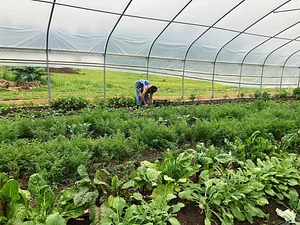 Jody's Farms