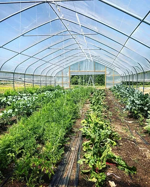 Jody's Farms