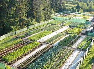 Ridgedale Farm