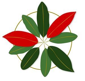 TiNAT Agroforesterie syntropique Réunion