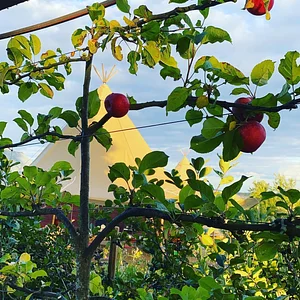 Ridgedale Farm