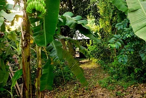 Ridge to Reef Farm