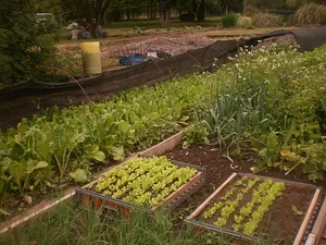 Feria Agroecológica de Córdoba 5