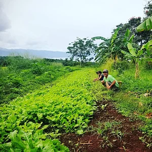 Kolea Farm