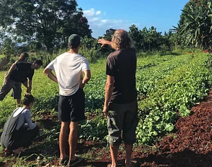 Kolea Farm