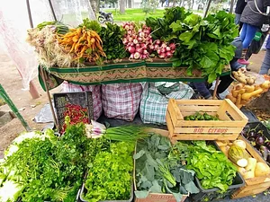 Feria Agroecológica de Córdoba 8