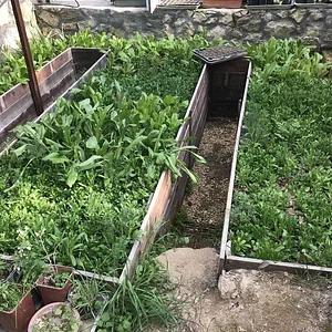 Belentepe Permaculture Practice and Wildlife Farm