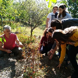 Belentepe Permaculture Practice and Wildlife Farm