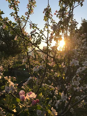 Belentepe Permaculture Practice and Wildlife Farm