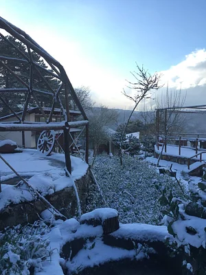 Belentepe Permaculture Practice and Wildlife Farm