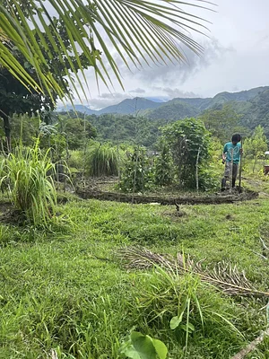 Green Warrior Eco-Farm