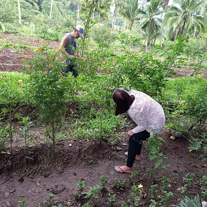 Green Warrior Eco-Farm