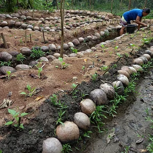 Green Warrior Eco-Farm