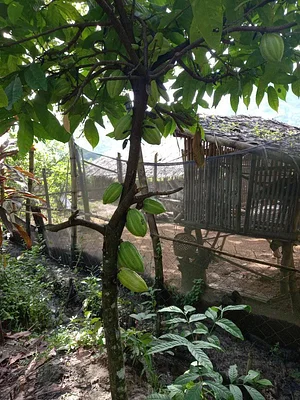 Green Warrior Eco-Farm