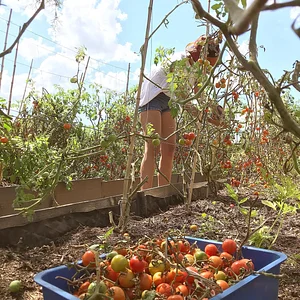 El Campanario - Finca Agroecológica
