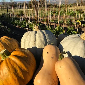 El Campanario - Finca Agroecológica