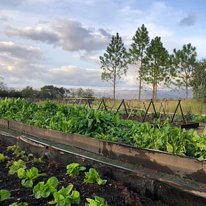El Campanario - Finca Agroecológica