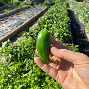 El Campanario - Finca Agroecológica