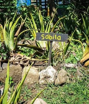 Finca Agroecologica La Flor