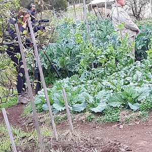 Purple Pear Farm