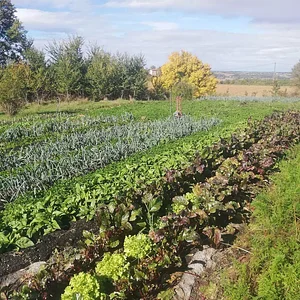 Ferme du Higas