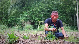 Formação Agrofloresta 1