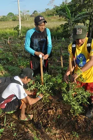 Formação Agrofloresta 2