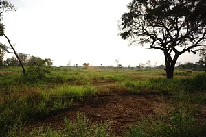 The Garden Estate