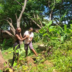 Malawi Schools Permaculture Clubs