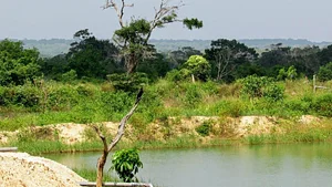 The Garden Estate