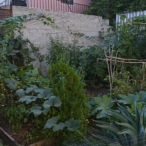 Mu̱'ta Biocultural