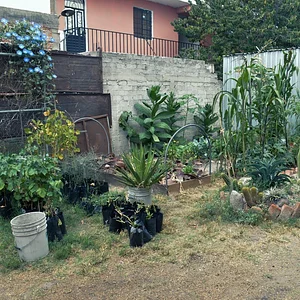 Mu̱'ta Biocultural
