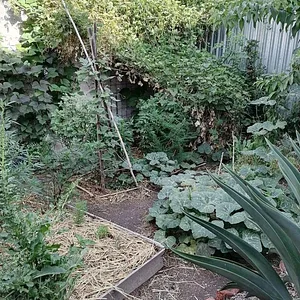 Mu̱'ta Biocultural