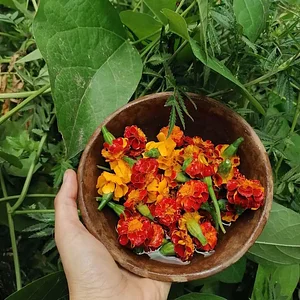 Mu̱'ta Biocultural
