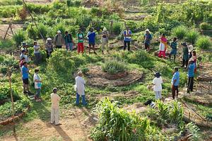 Aranya Agricultural Alternatives