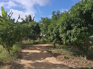 The Garden Estate
