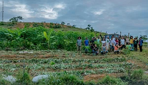 Agrofloresta do Sítio Ypiranga