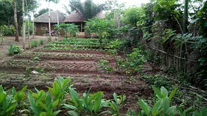 Eco-ferme de Possotome Sud-Bénin