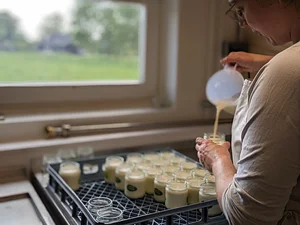 Dairy making