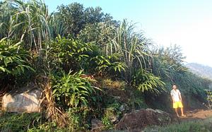 Himalayan Permaculture Centre