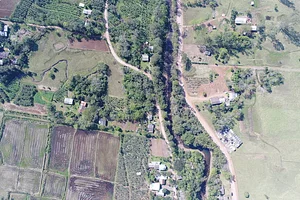 aérea agroflorestas