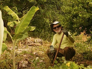 Agrofloresta Caminho 4