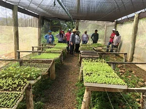 Sítio Bagagem - Campus Avançado de Agricultura Familiar