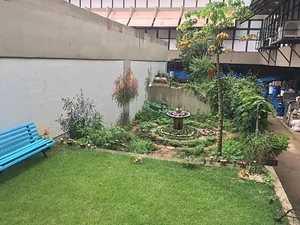 Quintal Biológico ICB/UFMG