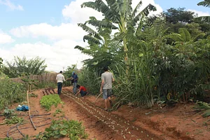 Agrofloresta Yebá